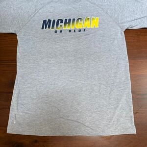 Champion Men's Grey T-shirt